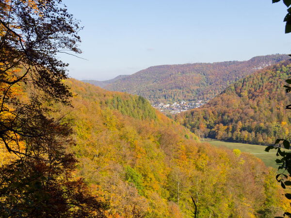Weitblick