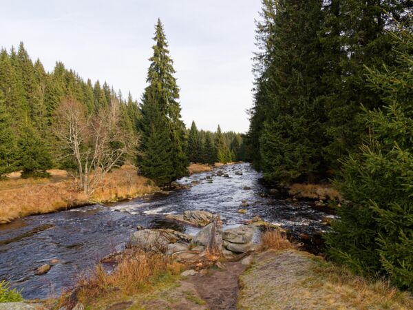 Zusammenfluss von Modravský potok und Roklanský potok zur Vydra bei Modrava.jpg