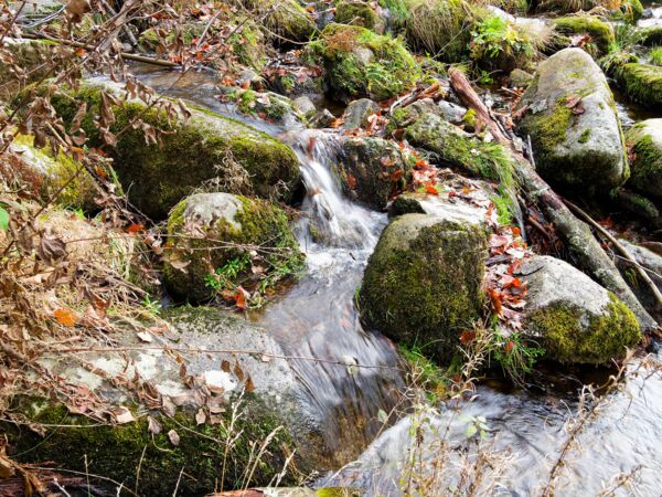 Überall fließt es.jpg