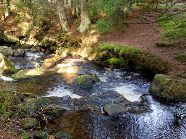 Hamersky potok-3.jpg