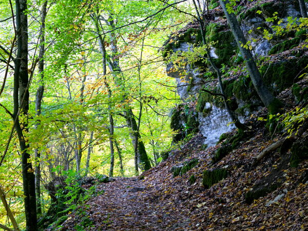 Weg zum Wasserfall